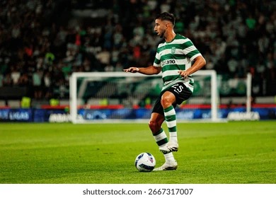 如何从一名业余玩家进化为稳定的“盈利玩家”？（从业余到稳定盈利：成为持续盈利玩家的路径）