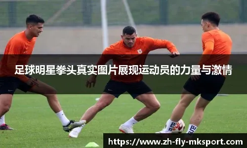 industry-portal-layout